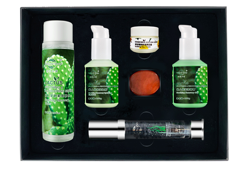 Cactus Soothing Energy Set